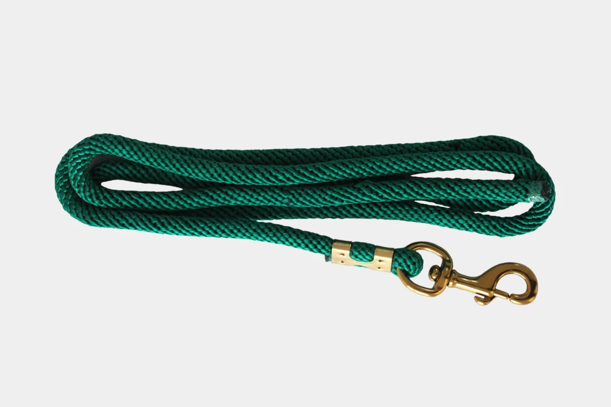 Fuehrstrick mit Karabinerhaken aus Messing, Rope, Nylon, brass, lime, gruen, hellgruen, green