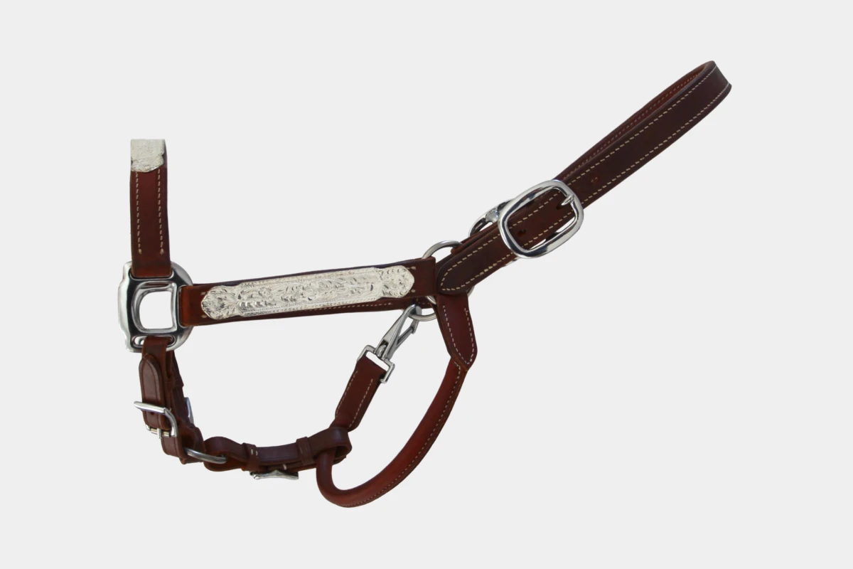 Cattlemans, GVR - Show halter silver plated, quarter horse, sadesa, Leder, leather, dark chestnut