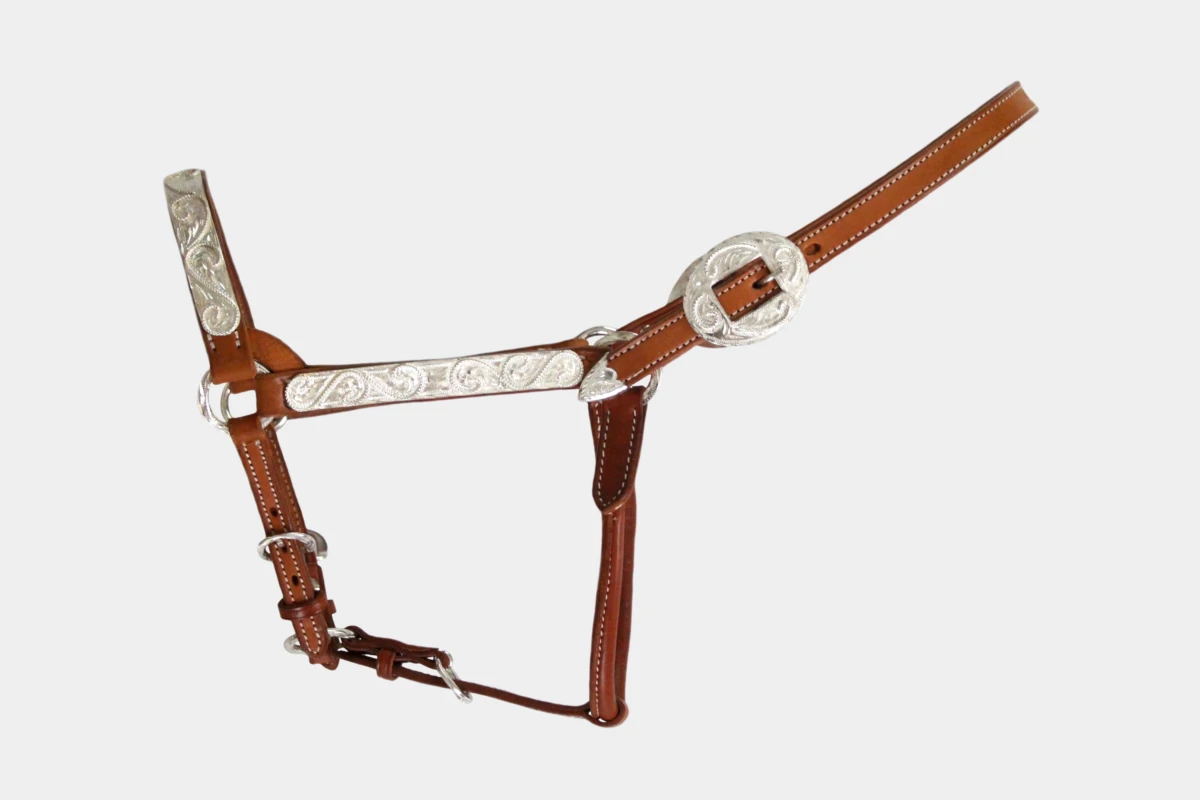 Cattlemans, GVR - Western Showhalfter silver twirl aus Sadesa Leder, show halter, sadesa leather, Silber, chestnut