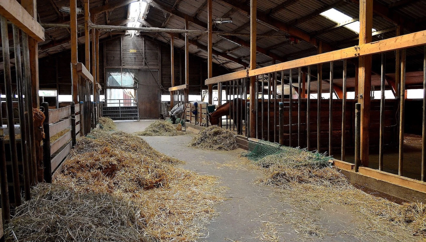 westernhorse-tack_kategorie_stall_zubehoer_banner