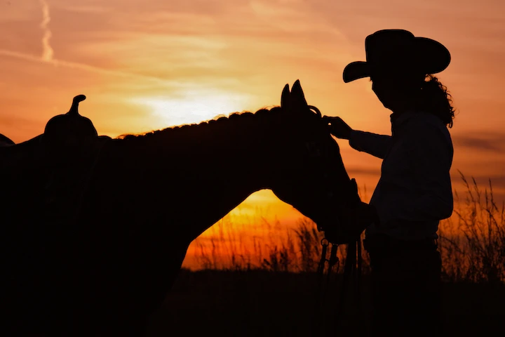 westernhorse-tack_home_banner_2108_mobil