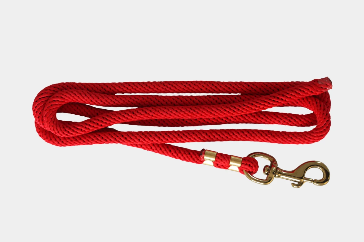 Fuehrstrick mit Karabinerhaken aus Messing, Rope, Nylon, brass, rot, red