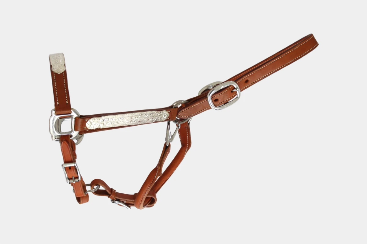 Cattlemans, GVR - Show halter silver plated, quarter horse, sadesa, Leder, leather, chestnut Cattlemans, GVR - Show halter silver plated, quarter horse, sadesa, Leder, leather, chestnut
