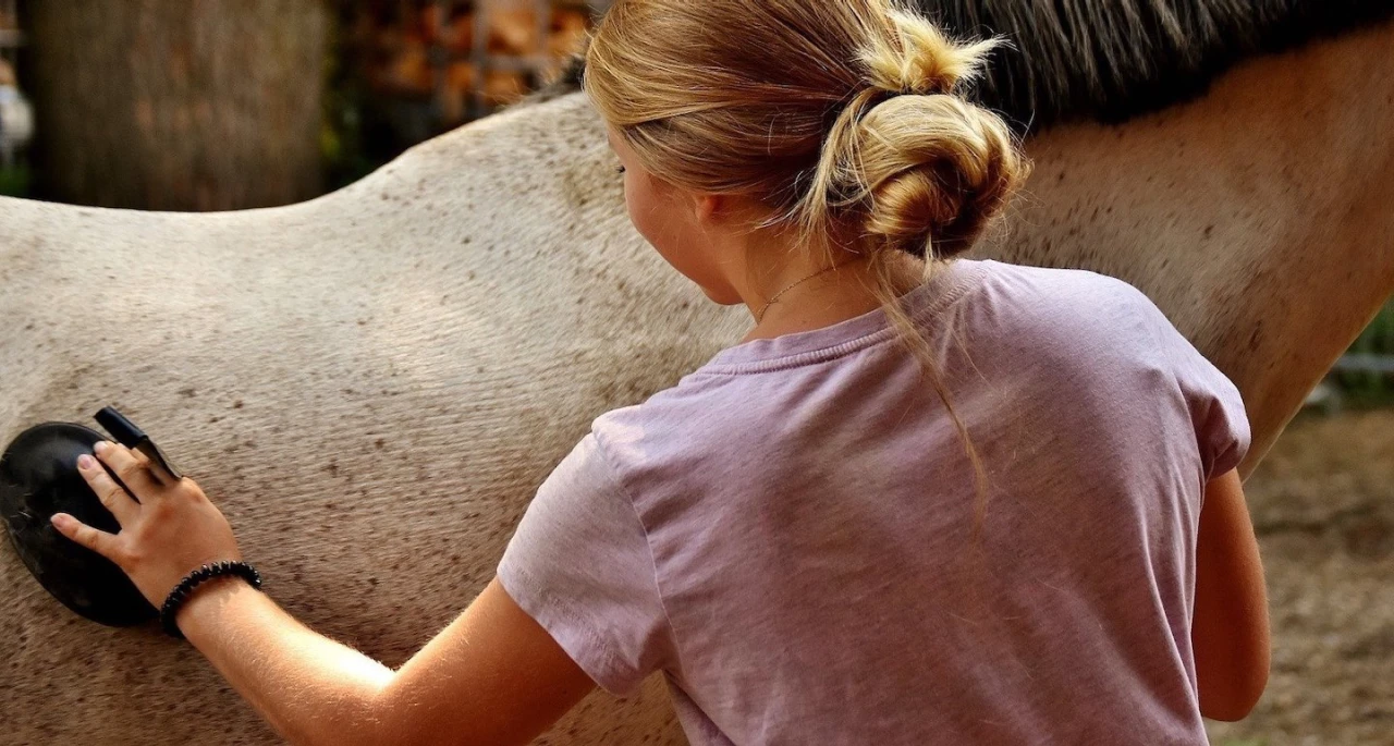 westernhorse-tack_kategorie_pflege_banner