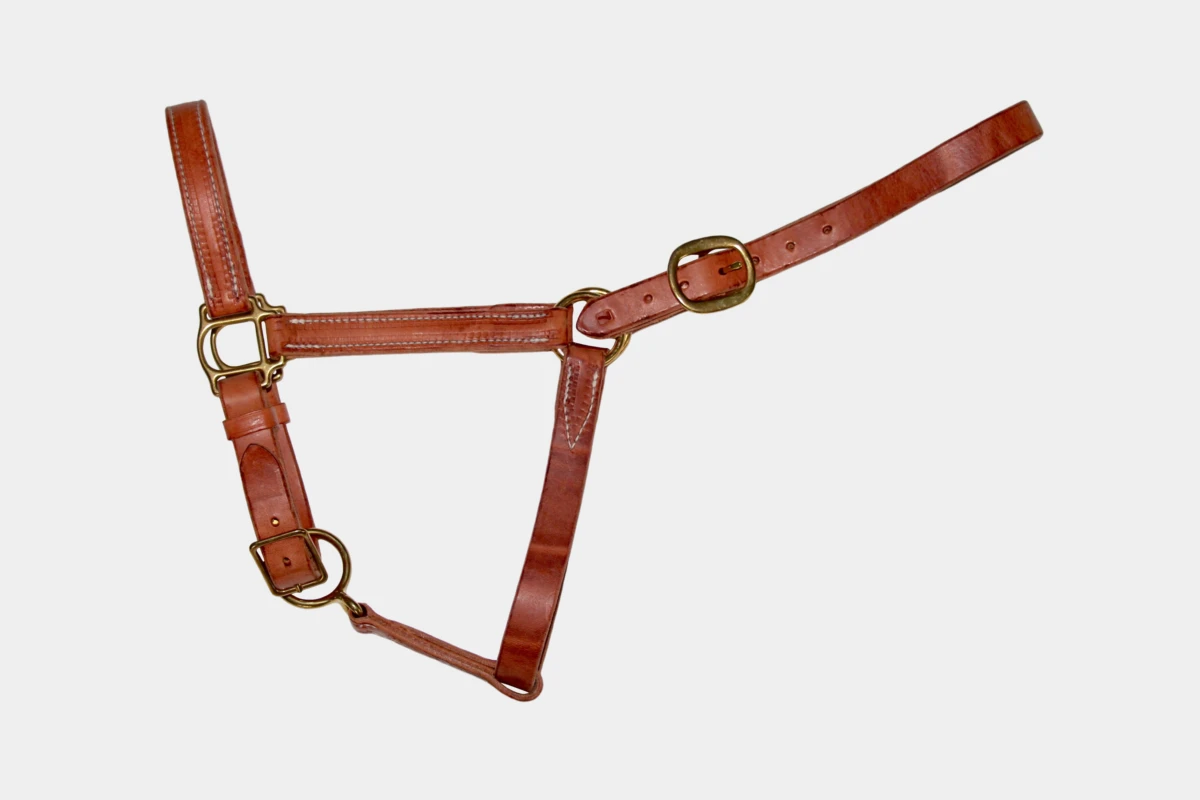 BCL, Berlin Custom Leather - Halfter Herman Oak Leather mit Messingschnallen, Leder, Halter, hell, light BCL, Berlin Custom Leather - Halfter Herman Oak Leather mit Messingschnallen, Leder, Halter, hell, light