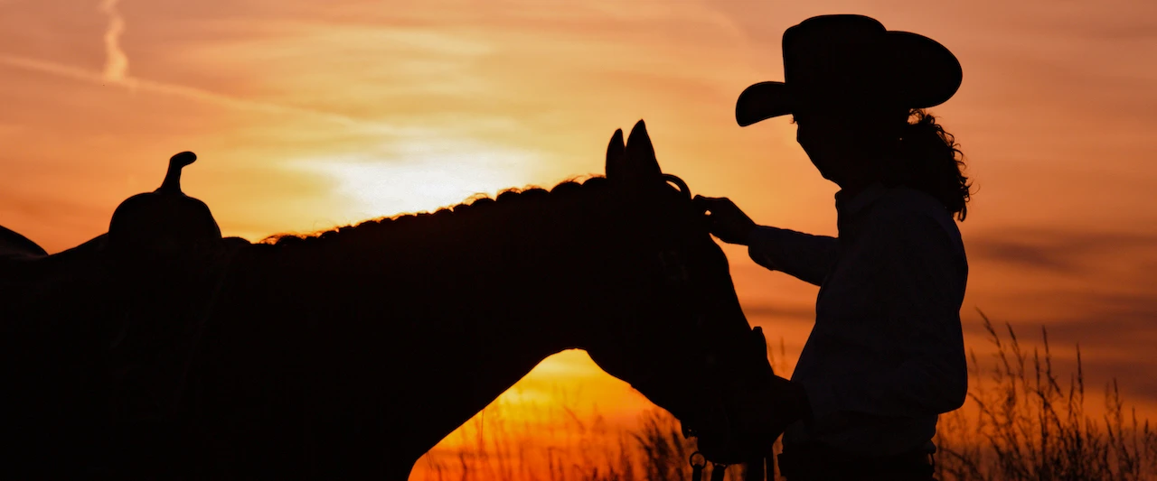 westernhorse-tack_home_banner_2108