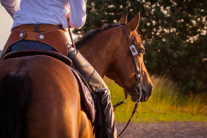 westernhorse-tack_home_howdy_2108 westernhorse-tack_home_howdy_2108