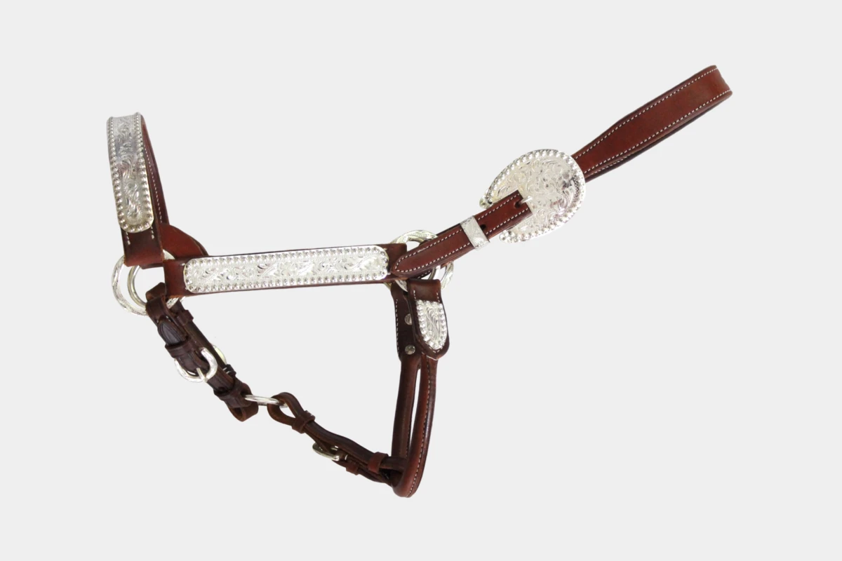 Cattlemans, GVR - Showhalfter silver dots, Lederhalfter, leather halter, Silber, dark chestnut Cattlemans, GVR - Showhalfter silver dots, Lederhalfter, leather halter, Silber, dark chestnut