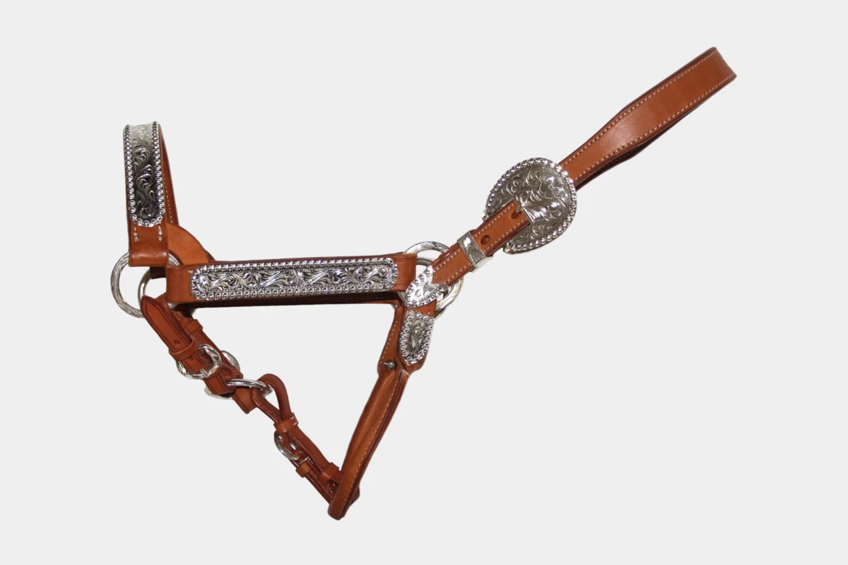 Cattlemans, GVR - Western Showhalfter silver dots aus Sadesa-Leder, show halter, sadesa leather, Silber, chestnut